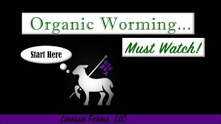 Organic Worming Sheep and Goats: 3 Things You Need to Know!
