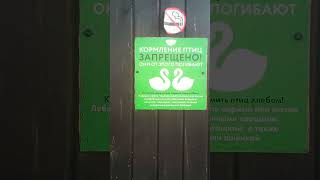 Ландшафтный парк Митино #shorts_video #мск