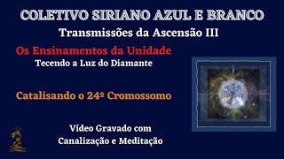 CSAB TA III #10 - Catalizando o 24º Cromossomo - Meditação - 11 Jul 2022