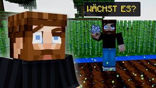 Knochenmehl-Trick: Wächst der Weizen jetzt ENDLICH? | Minecraft Let's Play #22
