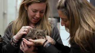 Veterinary Nursing at VEG