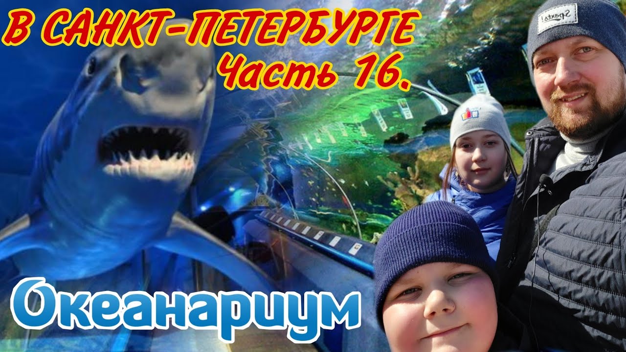 В питер на машине