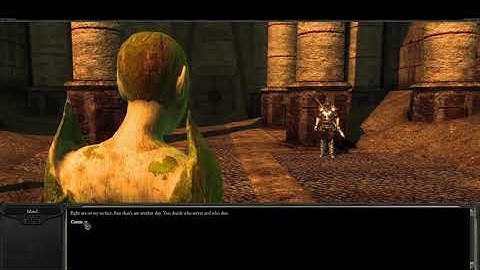 Divinity II: Developer