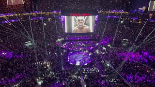 Israel Adesanya “Undertaker” Walkout at UFC 276