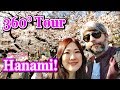 [360] HANAMI a 360° fioritura ciliegi Sakura!- Vivi Giappone
