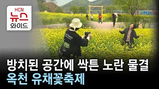 방치된 공간에 싹튼 노란 물결...옥천 유채꽃축제/HCN 충북방송