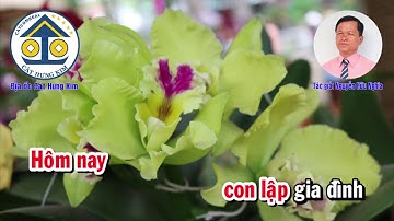 Karaoke Vọng cổ: DẶN CON NGÀY VU QUY - Dây Đào - Tác giả: Nguyễn Hữu Nghĩa