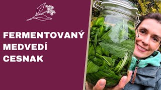 Fermentovaný medvedí cesnak