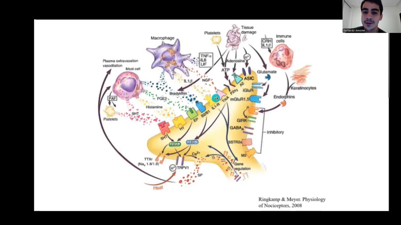Farmacologia na clínica da dor