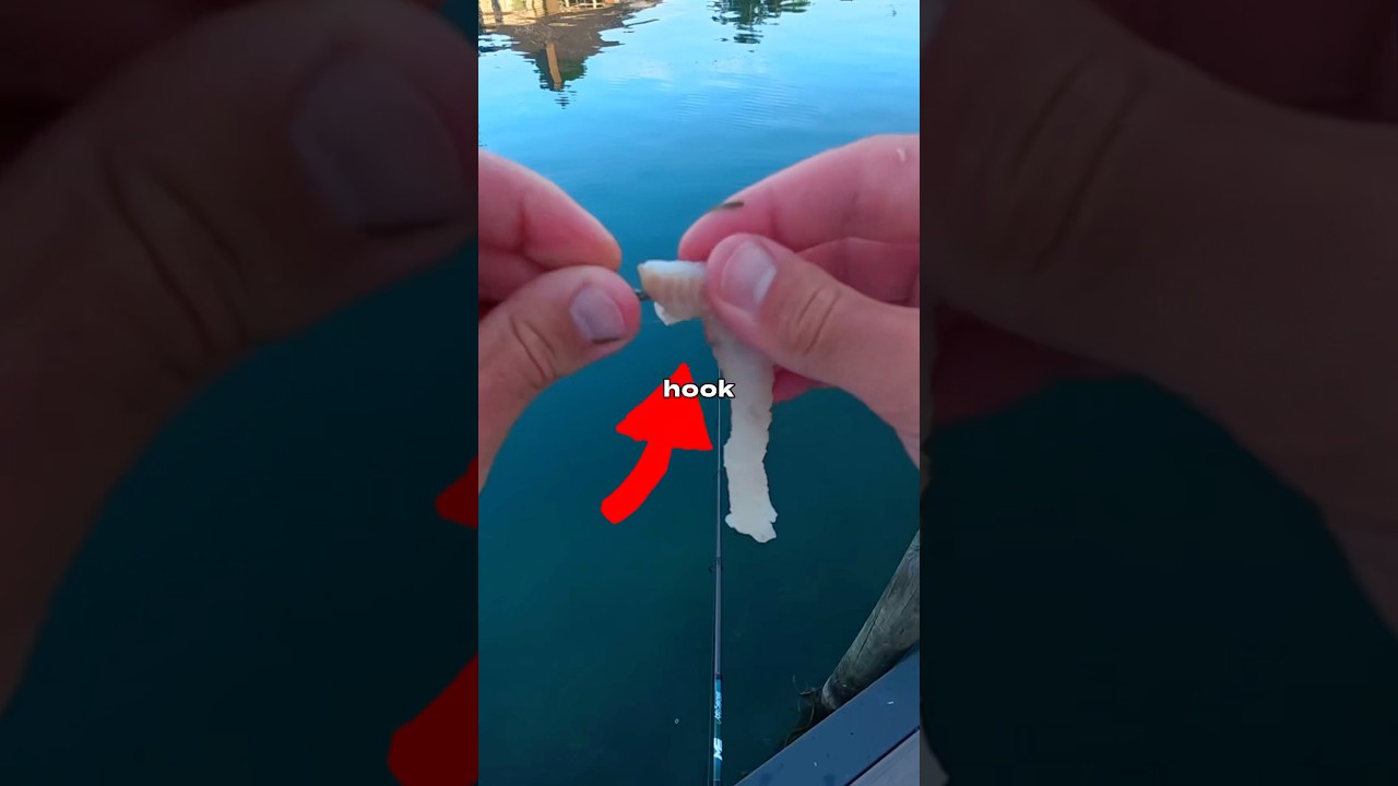 I Fished for Monsters 🐟🎣