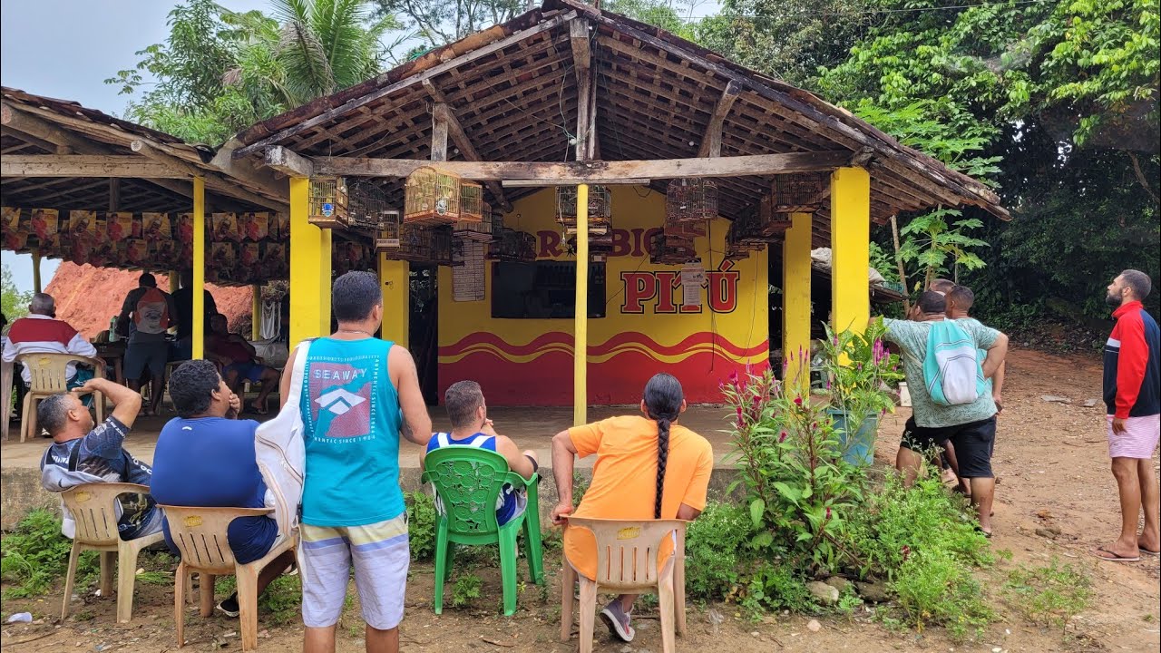 CAMPEADA DE PAPA CAPIM E COLEIROS - NOBRE RIO DOCE EM AMARAGI