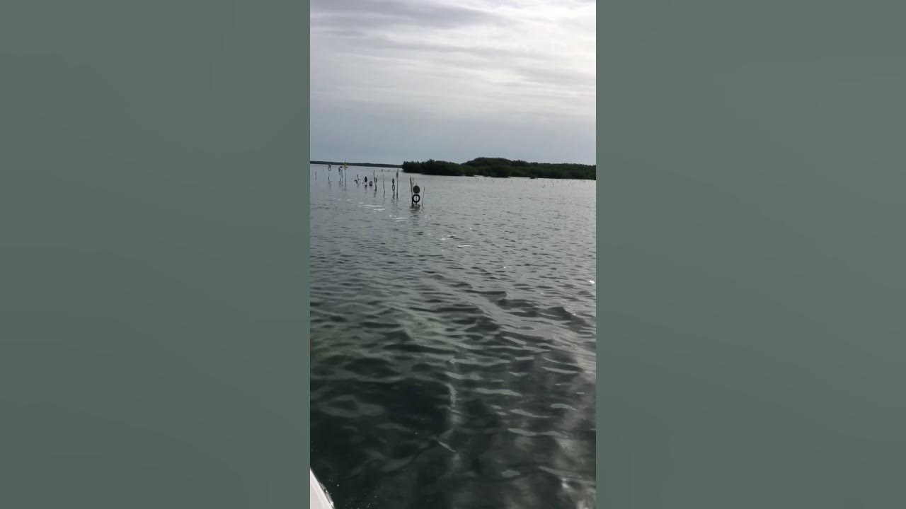 Toilet seat channel islamorada Florida keys YouTube