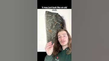 This Is A Two Billion Years Old Fossil