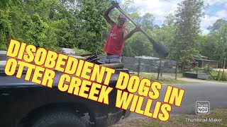 WHAT THE HALES DISOBEDIENT DOGS IN OTTER CREEK WILLIS