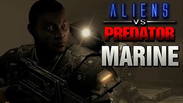 Marine time: AVP Multiplayer