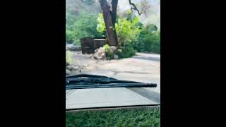 Kullu Bhuntar Paragliding Adventure | Road to the Sky 🪂