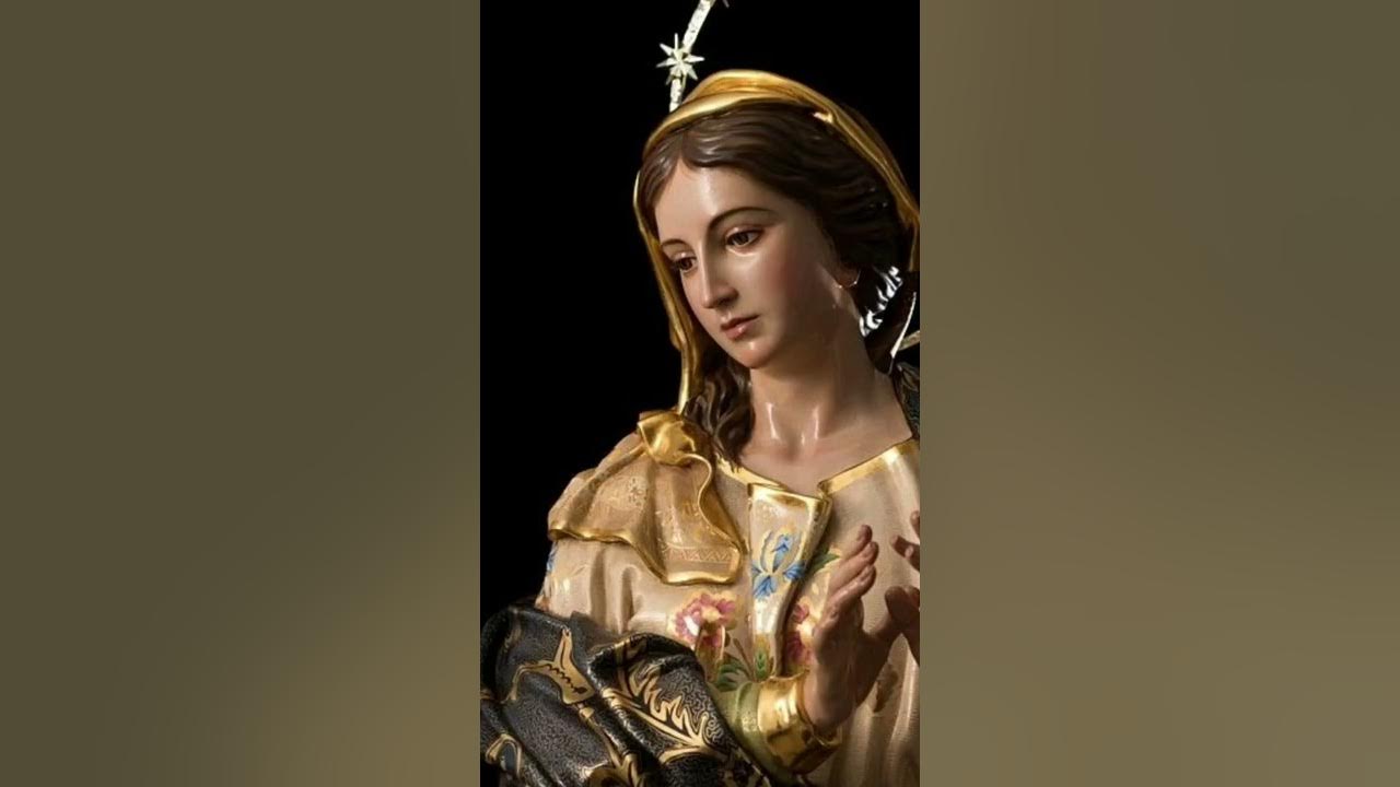 Ave Maria - Celine Dion | Assumption of Queen Mary 👑 | Lyrical