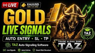 XAUUSD Gold Signals, Entries, Risk Levels & Profit Targets | 19 june 2026 | TAZ Cadet