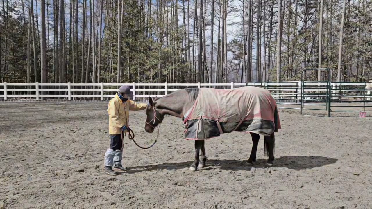 リラとお勉強・グランドワーク
