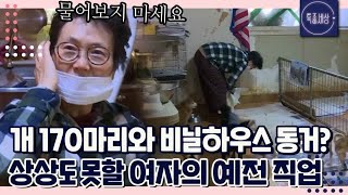 [FULL영상] 비닐하우스에서 170마리의 노견을 키우는 여자의 애틋한 사연 MBN 181012 방송