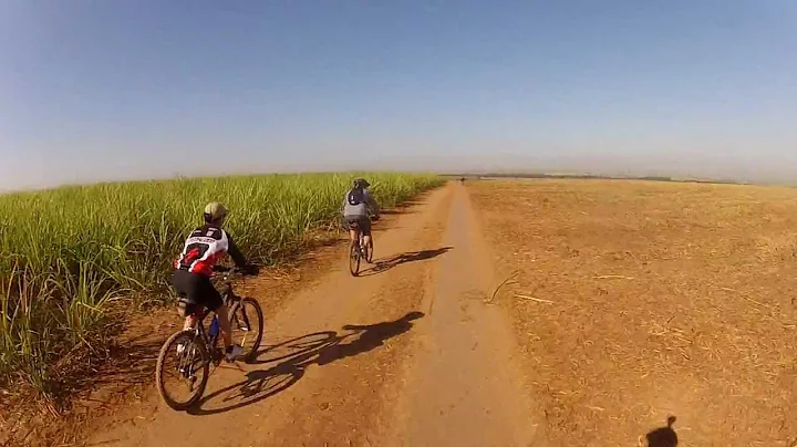 Velosipēds - Bad_Dog