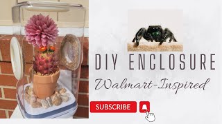 How to Make a Cute Jumping Spider Enclosure with Only Items from Walmart