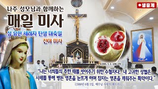 [매일미사] 2025년 6월 24일 성 요한 세례자 탄생 대축일 미사