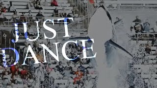 ❝Just Dance❞ Summer Killer Whale MEP {COMPLETE!}