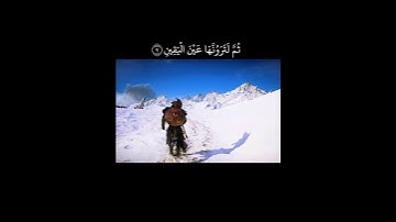 #سعد#الغامدي#سورة#التكاثر | saad al ghamdi#surah#at-takathur