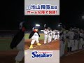 池山隆寛監督 ホーム初陣で快勝! #swallows #池山隆寛 #shorts