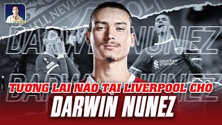 TƯƠNG LAI NÀO CHO DARWIN NUNEZ TẠI LIVERPOOL?