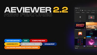 New Features in AEVIEWER 2.2