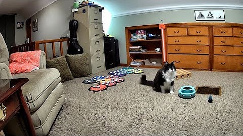 Todd Asks For Things For His Friends