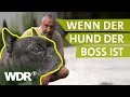 Dem Hund Grenzen setzen | Hunde verstehen (1) | Tierratgeber | WDR