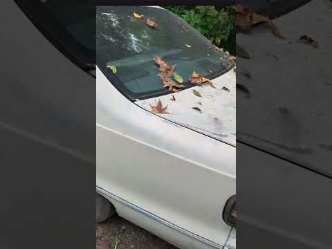 Update on caprice #diy #fix #mechanic #mechanic #nc #repair #replacement #chevy #caprice