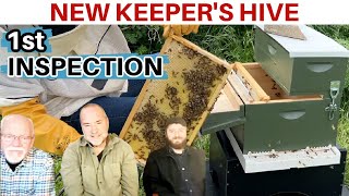 Beekeeping: Have You Heard About The New Keeper's Hive?