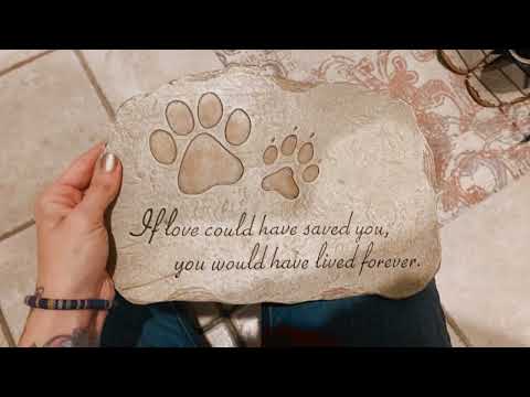 Evergreen Garden Pet Paw Print Devotion Painted Polystone Stepping Stone - review