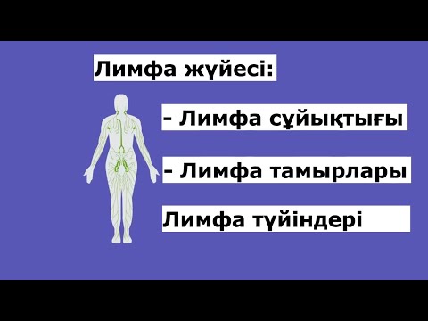 Бейне: Қандай ұлпа қан тамырларының кеңеюіне жауап береді?