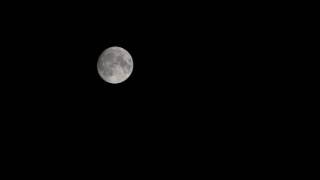 Moon Dance