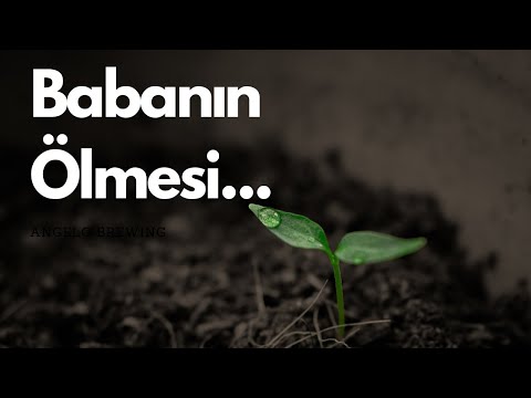 Babanın Ölmesi