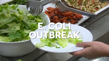 CR: Avoid Romaine Lettuce for Now | Consumer Reports