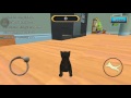 Cat simulation Kitty craft #6 :D