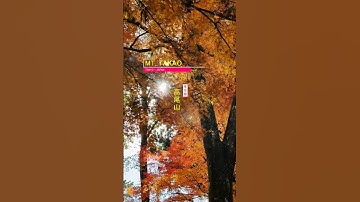 🍁⛰️ Where the Leaves Whisper: Mt. Takao in Autumn