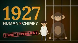 Can a Human and a Chimp Have a Baby? Can a Human and a Chimp Have a Baby?