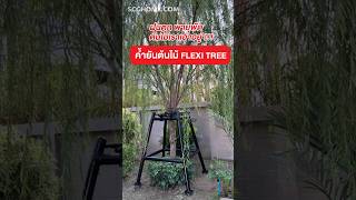 ค้ำยันต้นไม้ FLEXI TREE #scghome