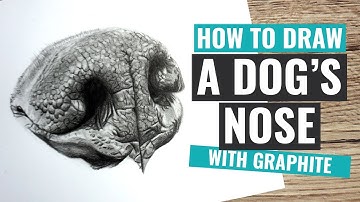 How to Draw a Dog