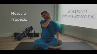 Mondo Estiramientos: Músculo Trapecio