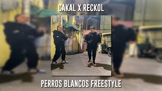 Cakal Ft Reckol - Perros Blancos Freestyle Speed Up