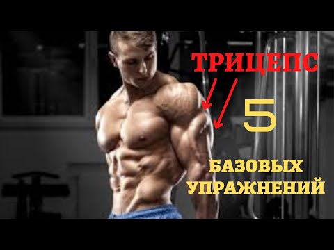 ТРИЦЕПС!!! 5 БАЗОВЫХ