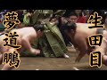 夢道鵬VS生田目 令和8年5月場所12日目 #sumo #相撲 #二子山部屋